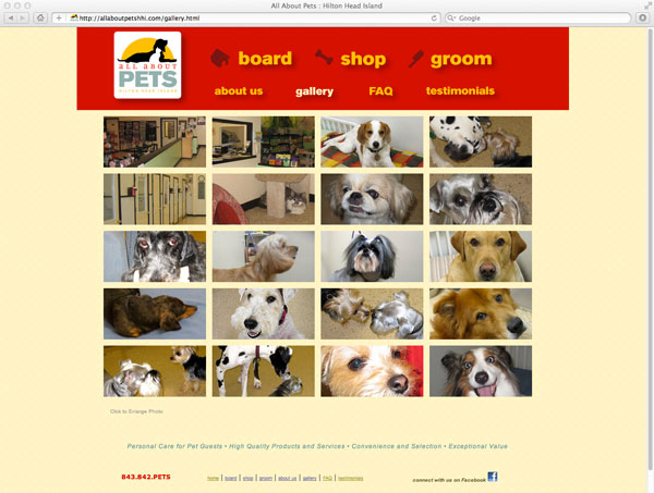 All About Pets